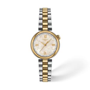 TISSOT Desir 28 mm Pvd Oro giallo/Acciaio T152.010.22.118.01